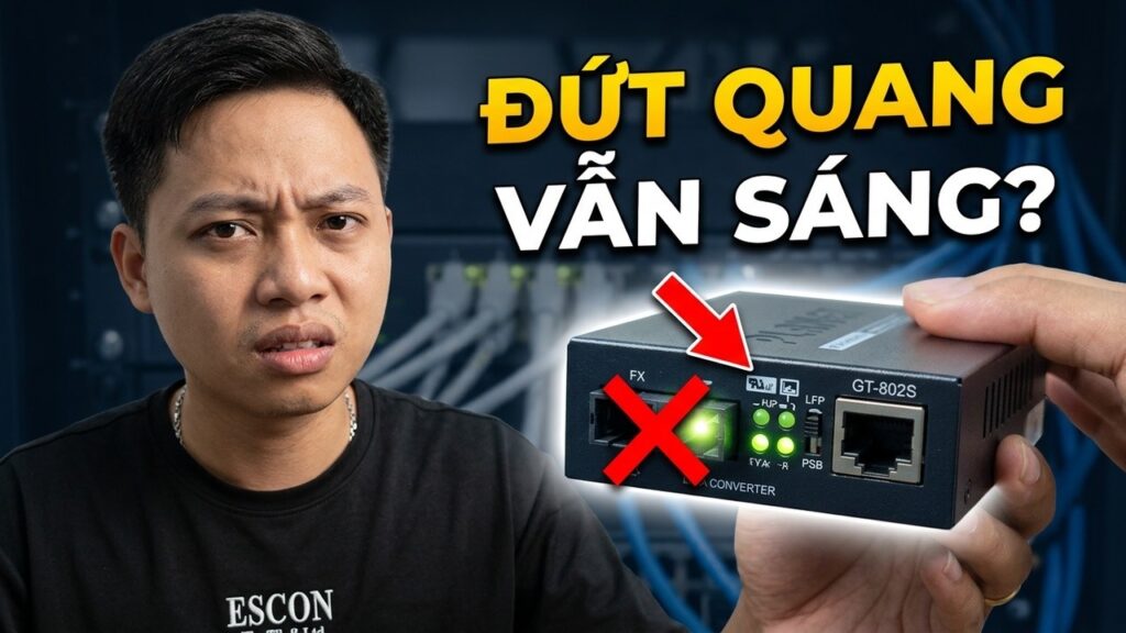 LFP (Link Fault Passthrough)