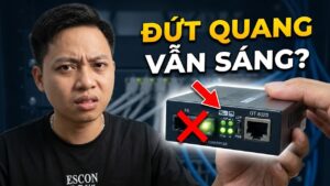 LFP (Link Fault Passthrough)